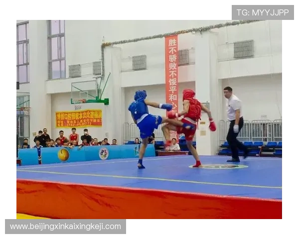 以武术散打为核心探究传统武术与现代竞技体育融合发展的新路径