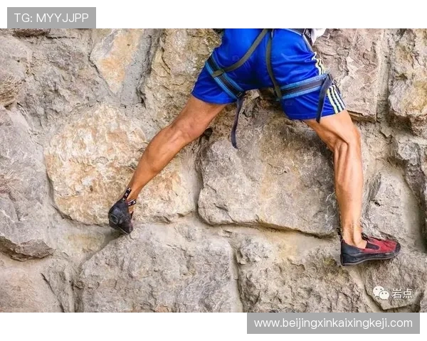 新手必看全面攀岩观赛指南从基础规则到高手技巧全解析