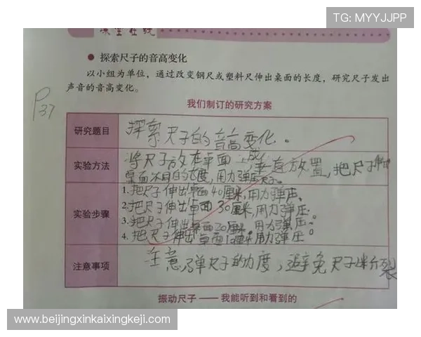 从零开始掌握铁人三项全方位系统入门与科学训练方法详解指南手册